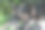 长满青苔的石头墙图片下载