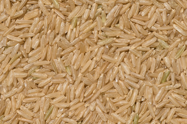 糙米的背景图片下载