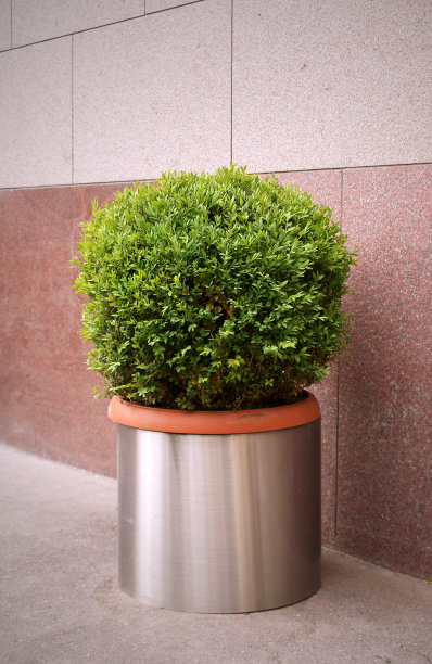 布什装饰图片下载