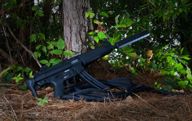 危险的枪图片下载