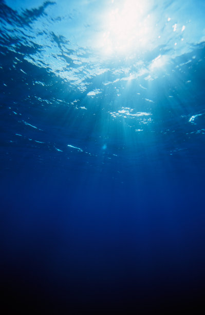 在深蓝色的大海里游泳，看着阳光图片下载