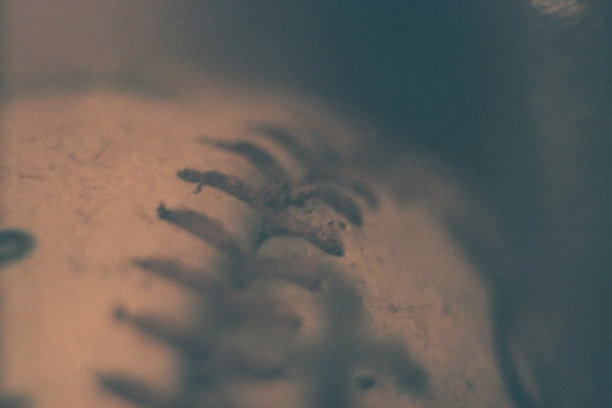 seam棒球图片下载