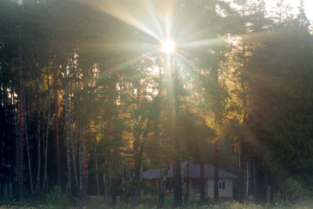 在森林里的房子休息图片下载