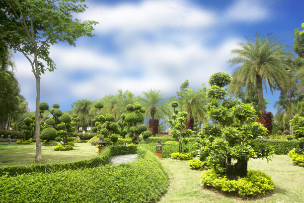 公共花园图片下载