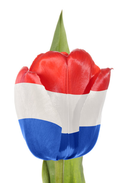 荷兰国旗图片下载