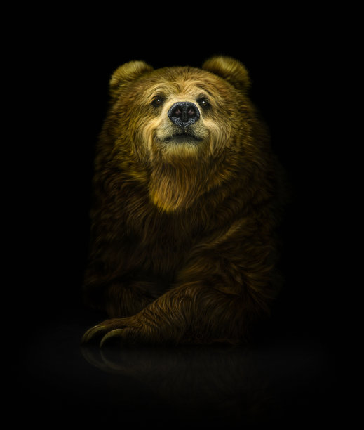 微笑的棕熊图片下载