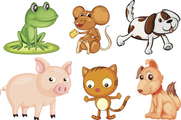 不同种类的陆地动物图片下载