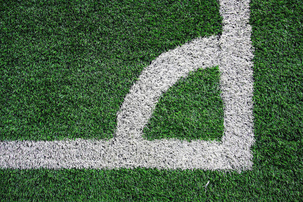 草地的一角。图片下载