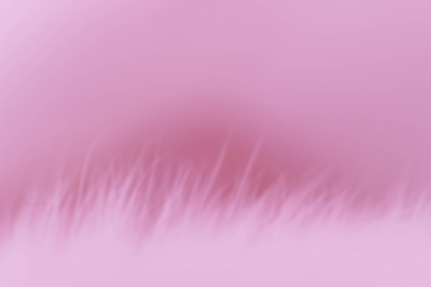 模糊美丽的粉红色毛皮在粉红色的背景图片下载