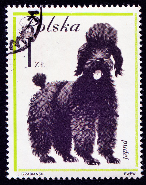 波兰邮戳上的狗图片下载