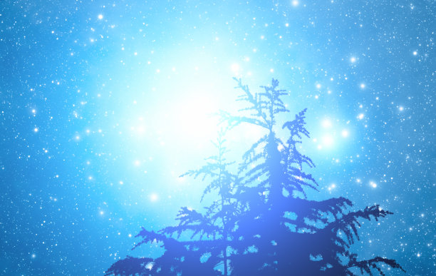 冬日繁星点点的森林剪影图片下载