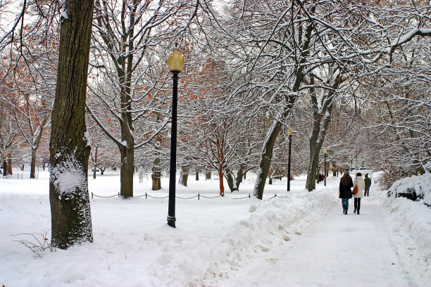 波士顿冬季图片下载