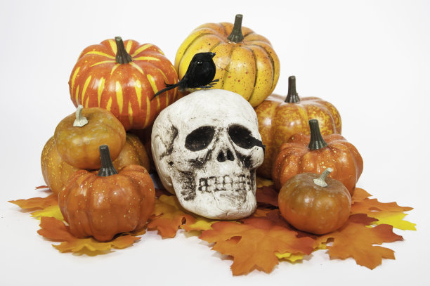 万圣节南瓜和骷髅图片下载