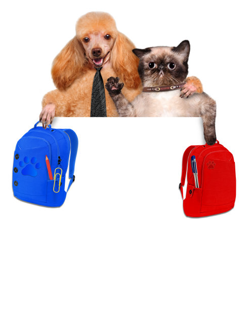 回到学校。图片下载