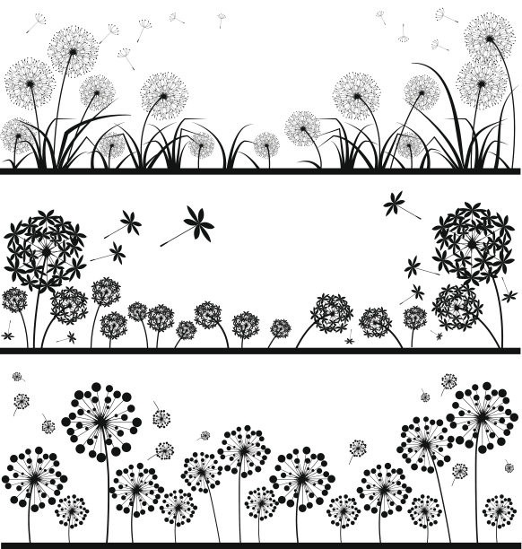 蒲公英向量组图片下载