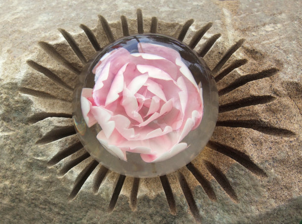 花装饰图片下载