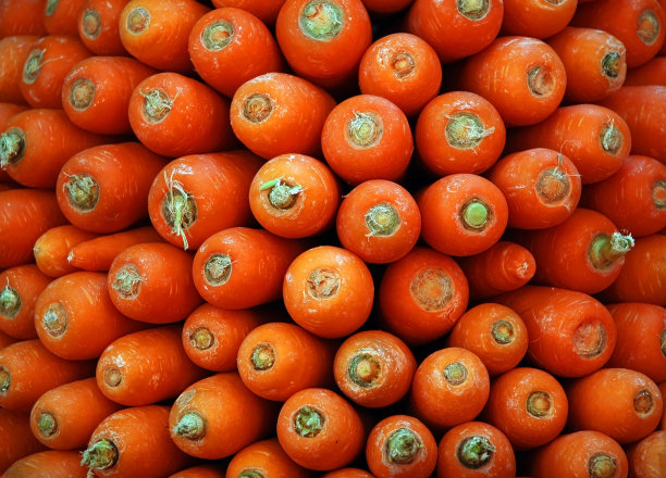 胡萝卜图片下载