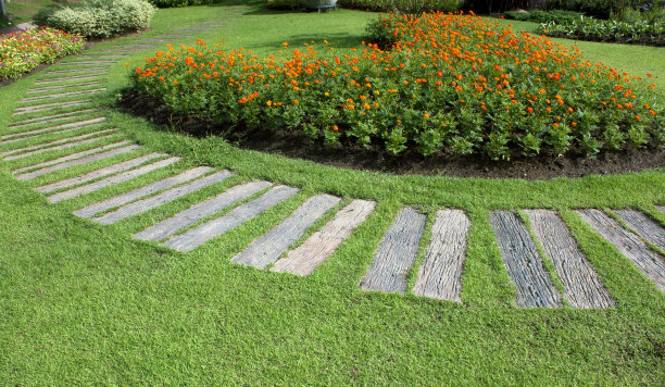 户外花公园。图片下载