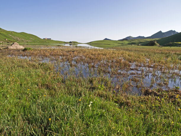 高山的沼泽图片下载