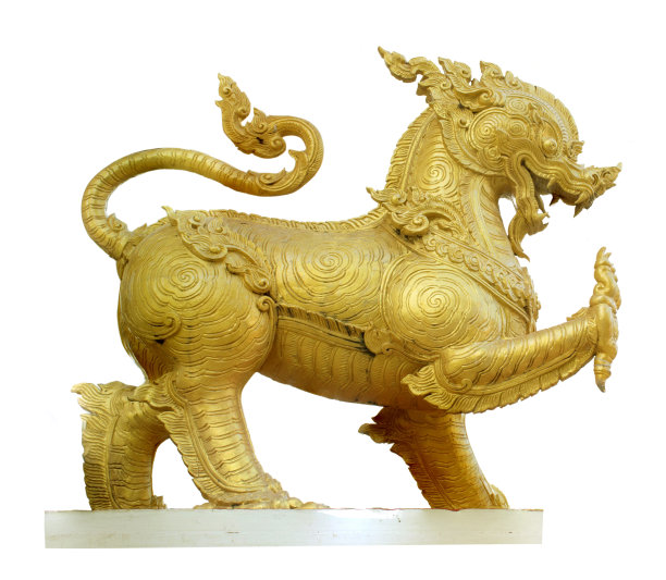 白色背景上的金狮图片下载