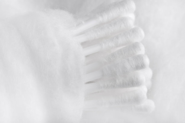 棉花花蕾图片下载