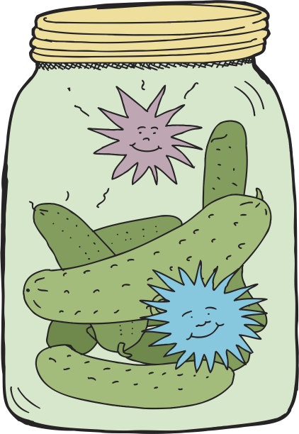 快乐的莳萝泡菜图片下载