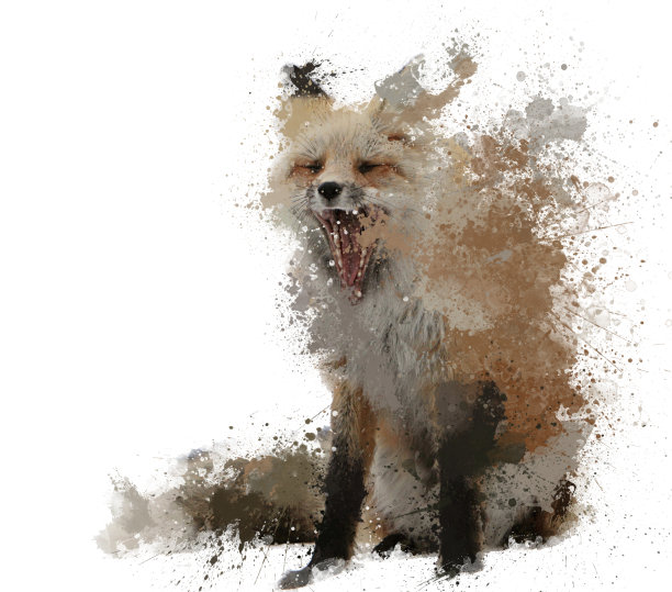 狐狸用油漆飞溅图片下载