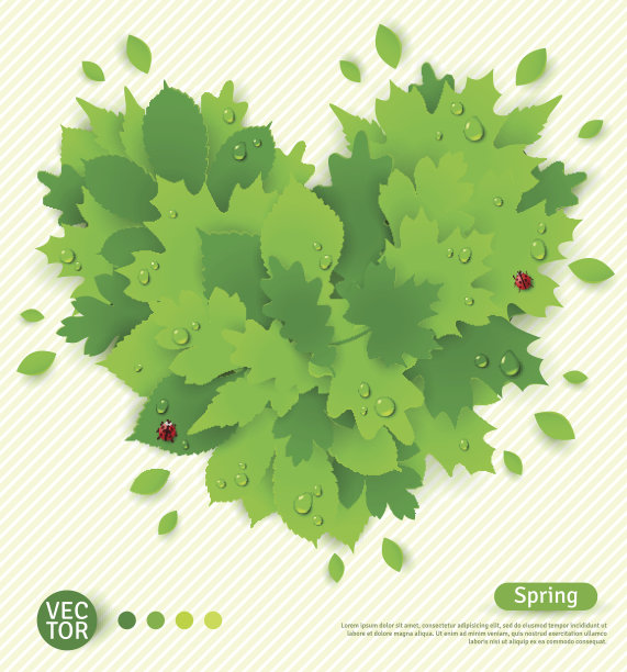 春天的图案用绿叶形成心。图片下载