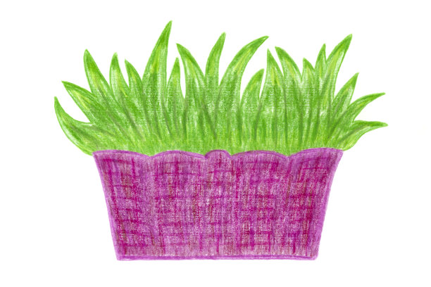 绿草箱图片下载