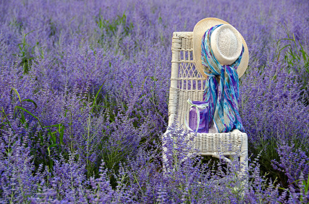 田野里的柳条椅上戴着帽子图片下载