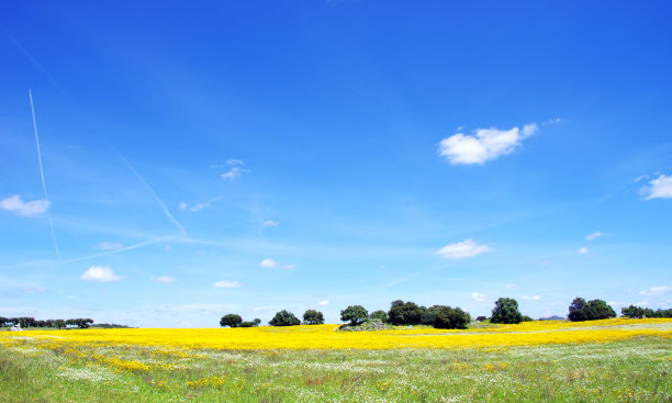 葡萄牙南部阿连特霍的春天景观。图片下载