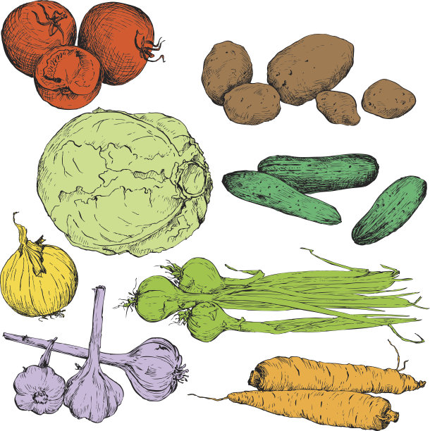 一套水墨画蔬菜图片下载