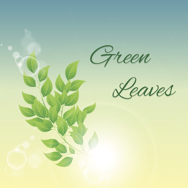 绿叶的树枝图片下载