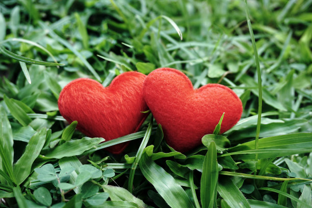 草地上的两颗小红心图片下载