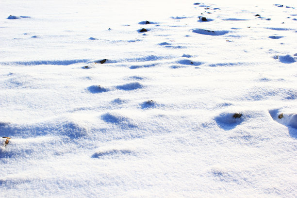 覆盖着积雪的岩石地形图片下载