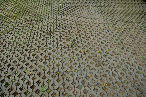 砖蠕虫石头图片下载