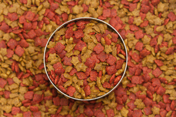 狗粮的背景图片下载