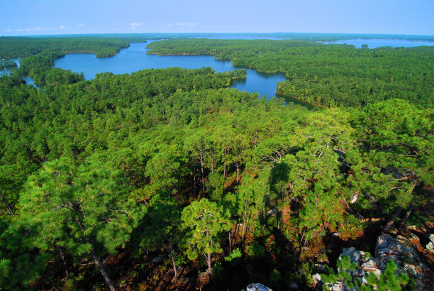 湖马丁图片下载