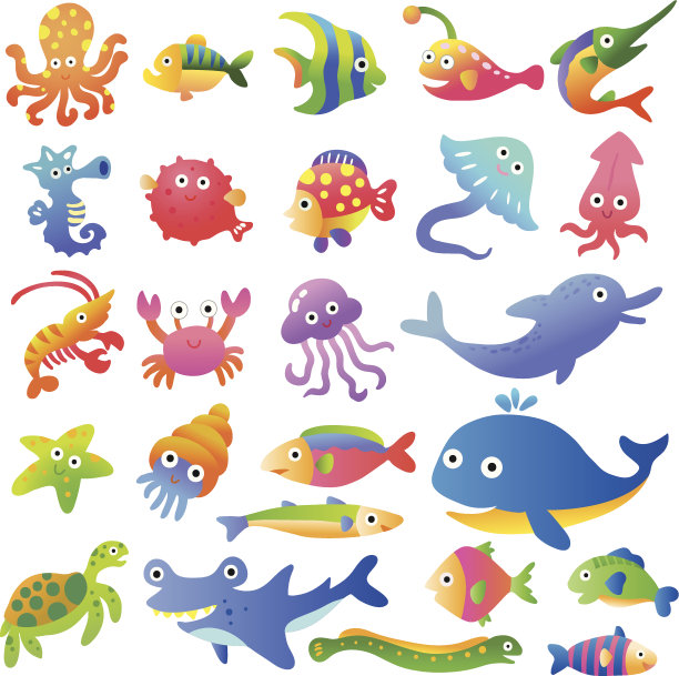 海洋鱼类和动物的收藏图片下载