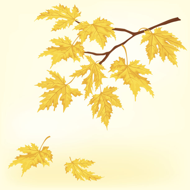 秋天枫树-插图图片下载