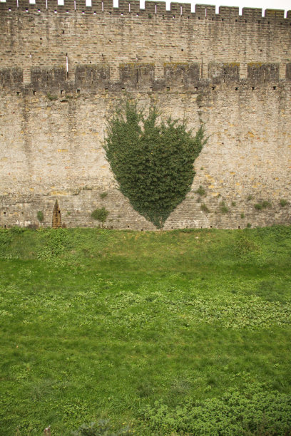 中世纪著名城市卡尔卡松的城墙图片下载