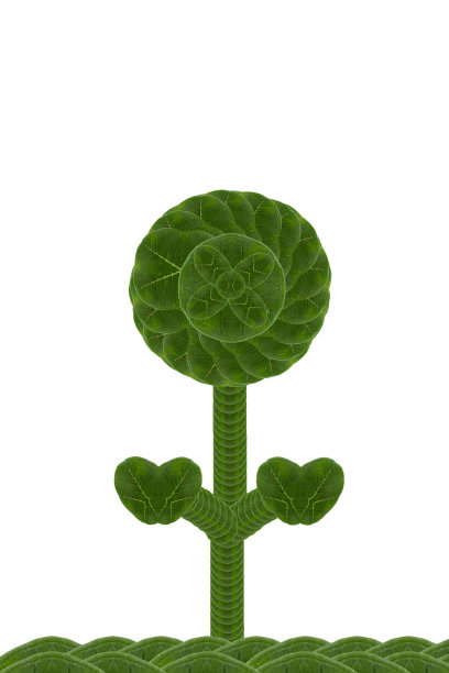 叶子花形式图片下载