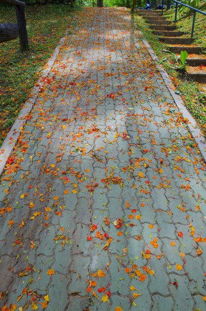 楼梯上的绿色花园图片下载