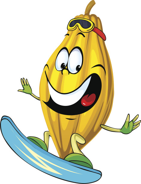 可可荚性状冲浪孤立图片下载