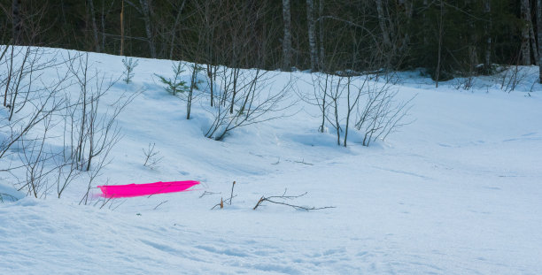 粉红色的孤独的雪橇图片下载