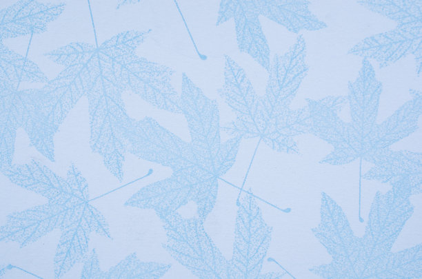 论文结构图片下载