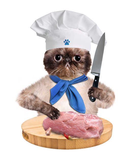 Cat科长图片下载