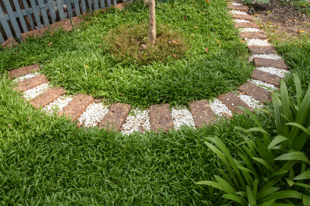 在后花园散步图片下载