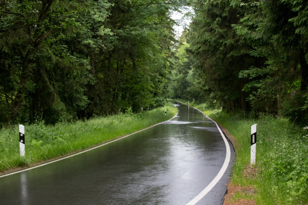 平原雨林路图片下载