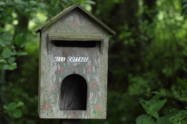 鸟的盒子图片下载